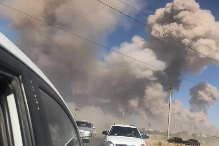 У государства слишком много мужской агрессии - изображение 1