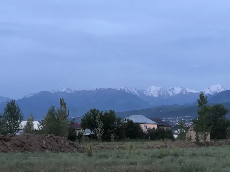 «Чокнутый посол» ушел - изображение 1