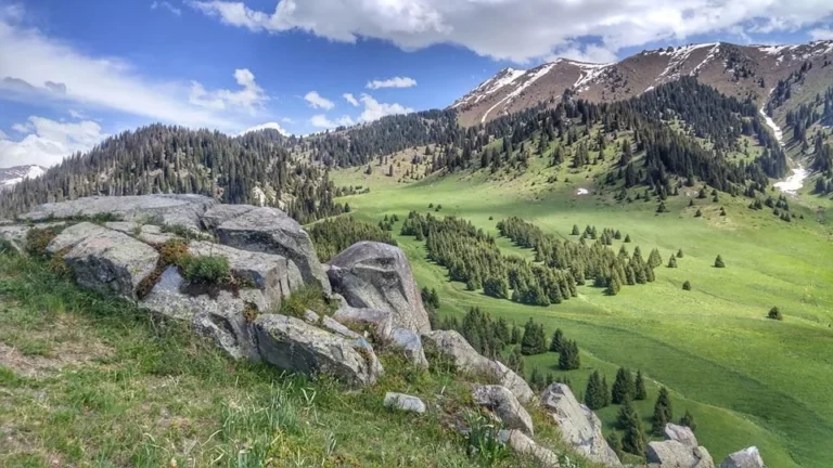 Успех проекта – соблюдение интересов каждого - изображение 1