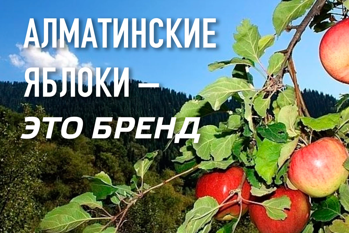 Изображение 1 для Кыргызские мигранты перевели в родную страну свыше миллиарда долларов