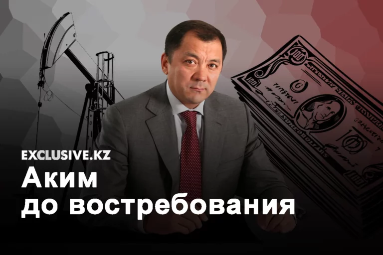 Акимы в нашей стране делятся на две категории - изображение 1