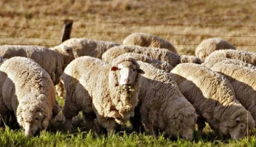 Изображение 2 для Почему бунтуют богатые города