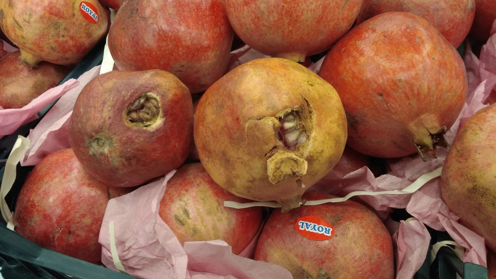 Изображение 2 для Президент Кыргызстана отказался от эскорта