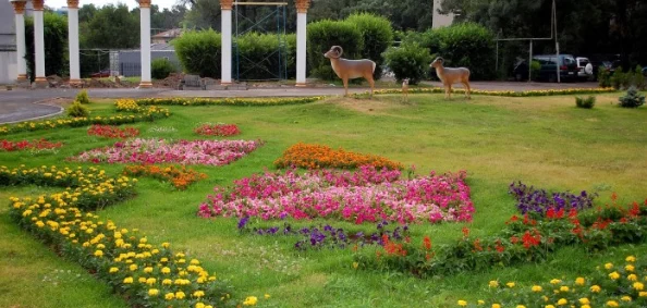 «Врачебная тайна» Токаева - изображение 1