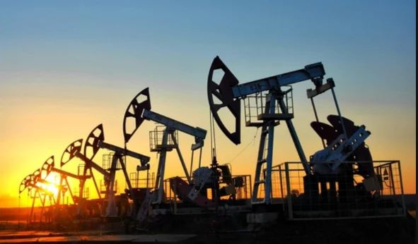 Изображение 2 для Павлодар сохранит свое название