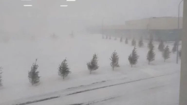 Убийство в «Казахмысе» - изображение 1