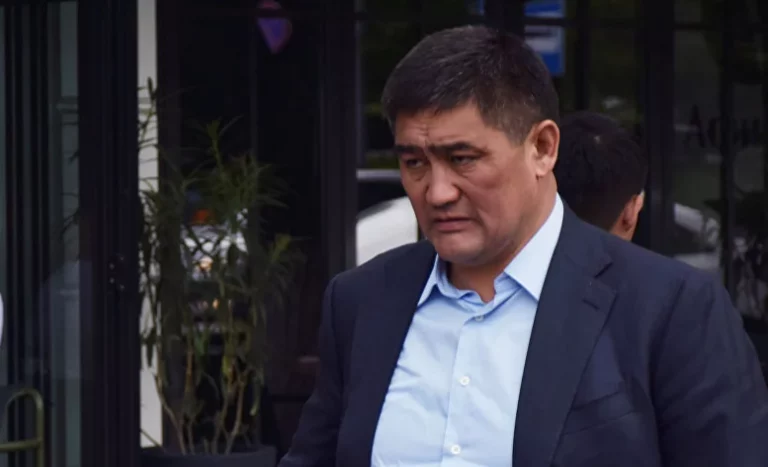 Зеленые решения становятся все более прибыльными - изображение 1