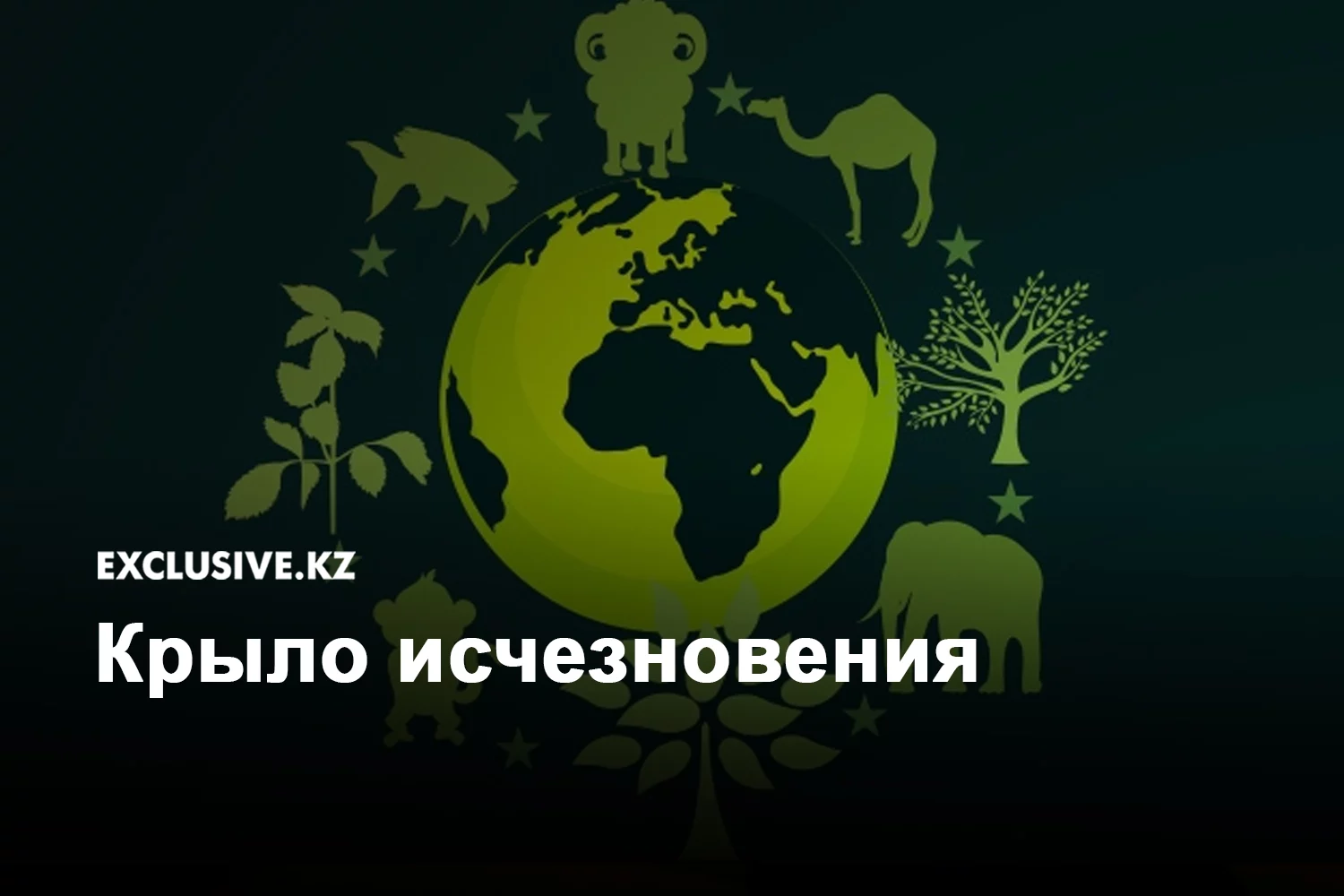 Изображение 1 для На Bek Air подали в суд
