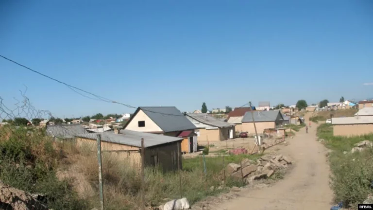 Кульгинова не уволят - изображение 1