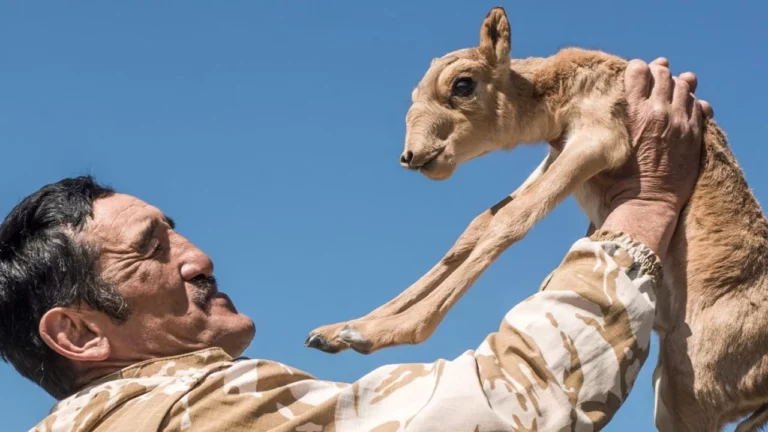 Англичане за миллион фунтов стерлингов покроют дорожки ипподромов в Туркменистане - изображение 1