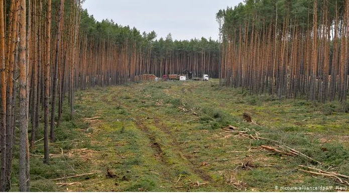 Изображение 2 для В этом году ученым на гранты выделят 3 млрд. тенге