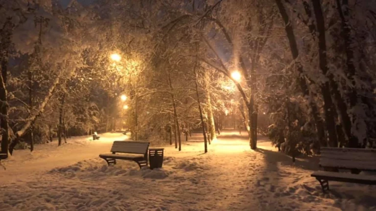 Почему в Иране заразилось даже руководство? - изображение 1