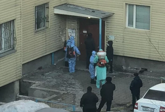 Изображение 2 для Зелёная перезагрузка после пандемии