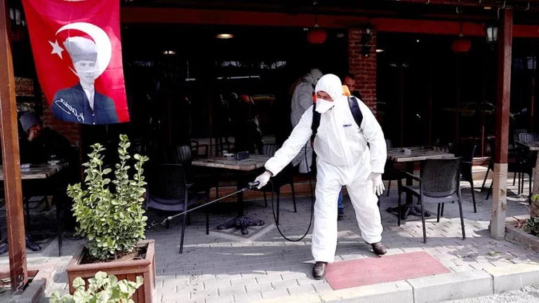 ВОЗ подтвердил отсутствие коронавируса в Таджикистане - изображение 1