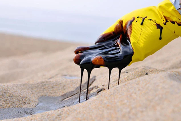 Изображение 2 для Арман Шураев: народ стал заложником воровства в национальных масштабах