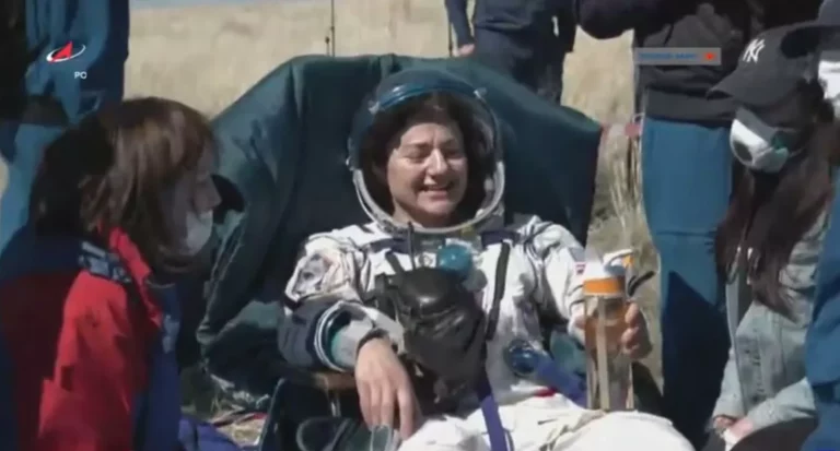 От диктатуры пролетариата к диктатуре Сталина - изображение 1