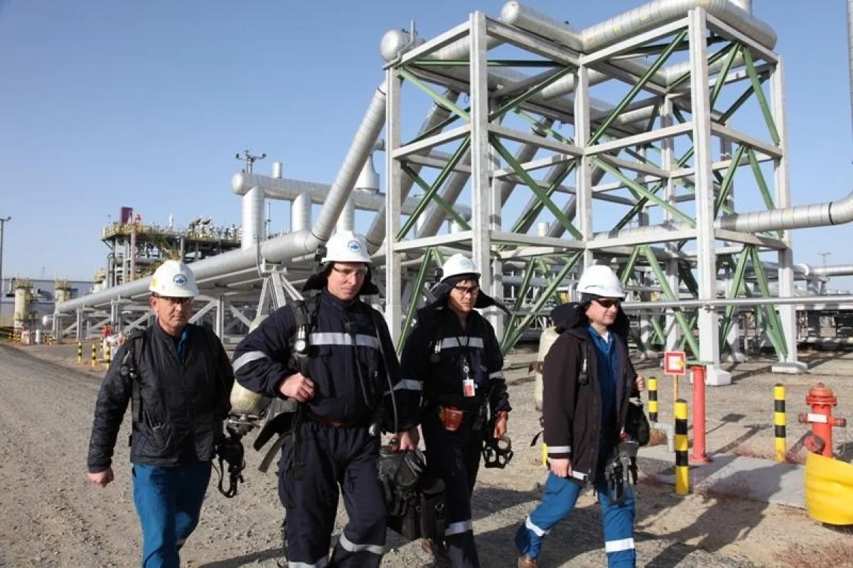 Изображение 2 для В Германии разрешили клинические испытания вакцины против коронавируса