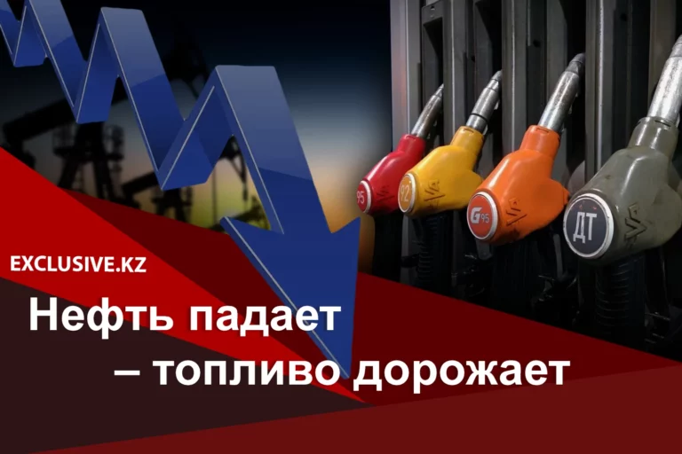 Сенаторы против - изображение 1