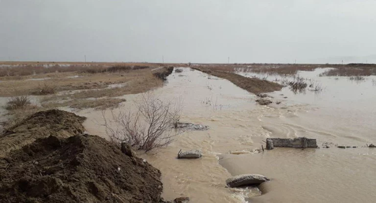 Подозреваемый в массовых беспорядках в Кордае умер в СИЗО - изображение 1