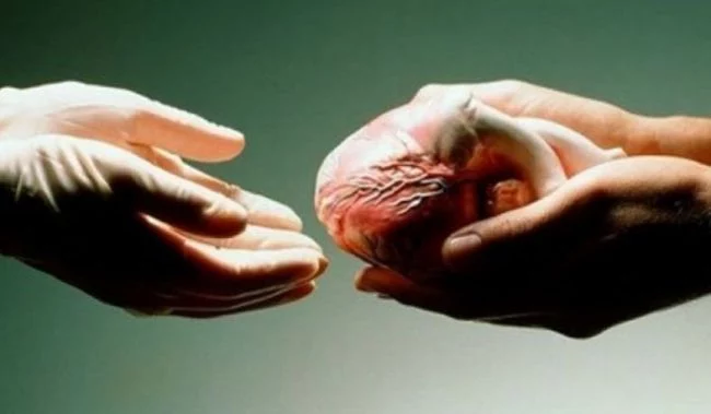 Изображение 1 для Директор ВОЗ дал оценку действиям Казахстана против коронавируса