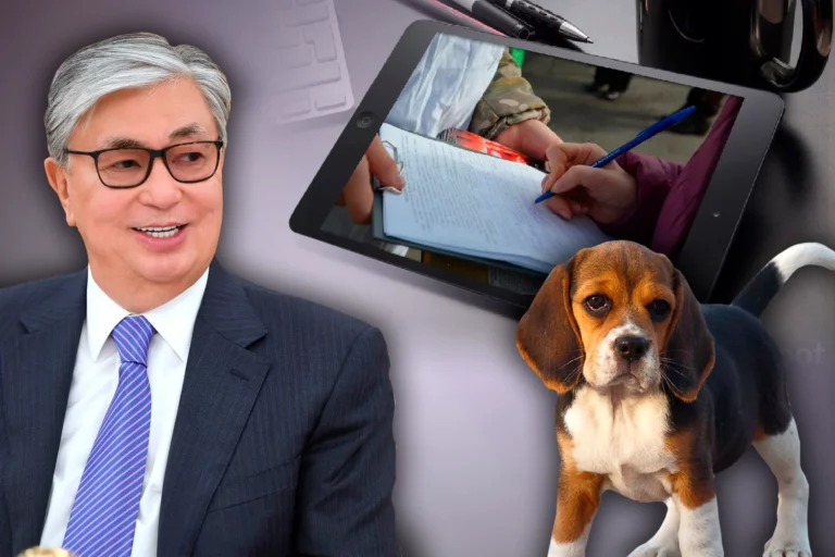 В Казахстане активно подписывают петицию с обращением к Президенту страны - изображение 1