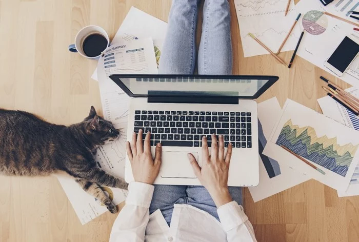 Изображение 1 для Правительство рекомендовало руководителям госорганов перевести 80% коллектива на удаленный режим работы