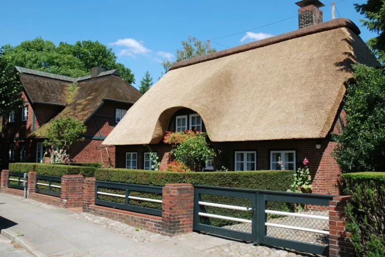 Германия скупает камыш из Казахстана - изображение 1