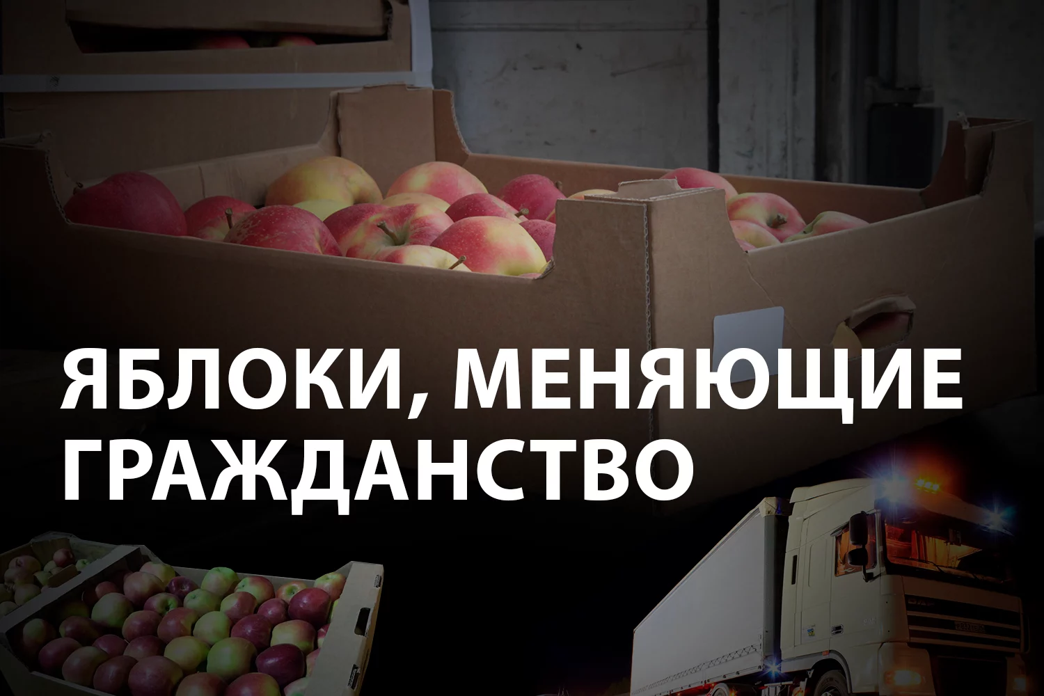 Изображение 4 для Как казахстанские контрабандисты губят наше сельское хозяйство