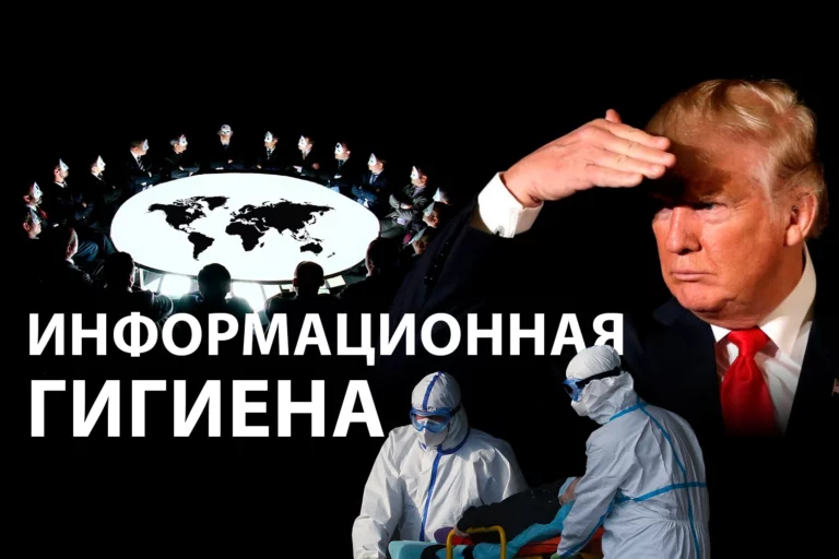 Мировая пандемия: предсказана или создана? - изображение 1