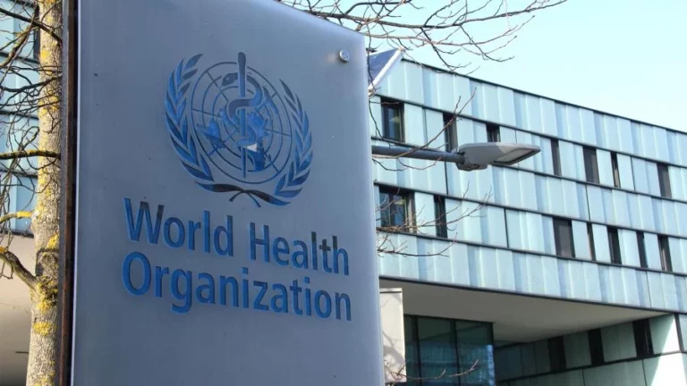 ВОЗ направит группу экспертов в Казахстан - изображение 1