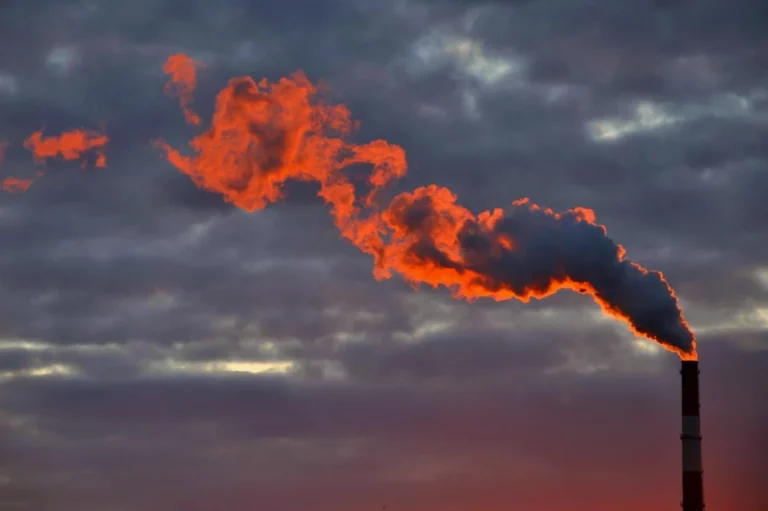 В Казахстане вновь собираются строить мусоросжигающие заводы - изображение 1