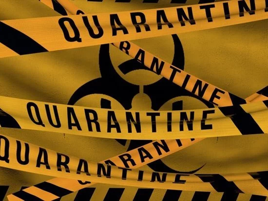 Изображение 1 для Карантин продлили еще на 2 недели