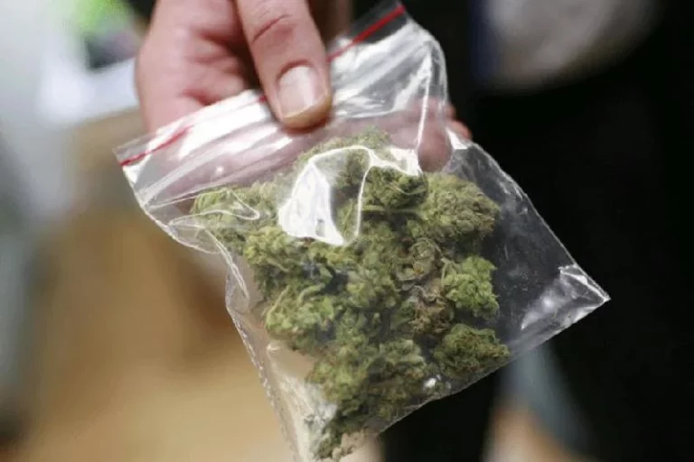 В ВКО пресекли наркоканал между Усть-Каменогорском и Алматы - изображение 1