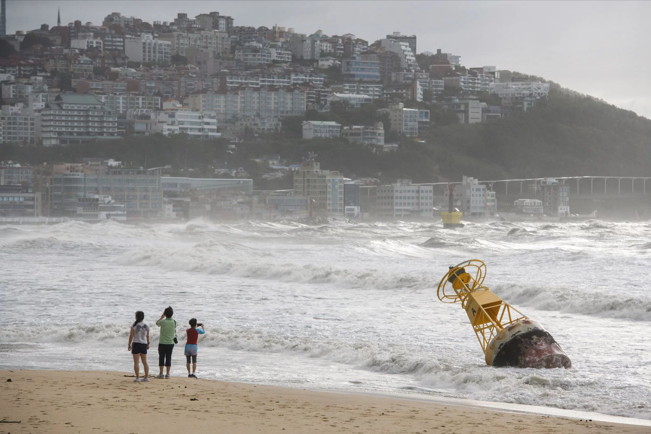 Изображение 1 для Тайфун «Майсак» обрушился на Россию