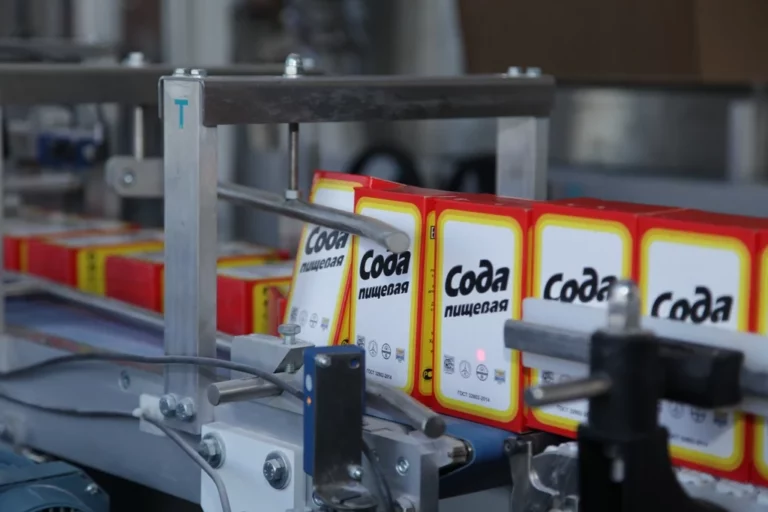 Инвесторы из Турции построят завод по производству соды в Казахстане - изображение 1