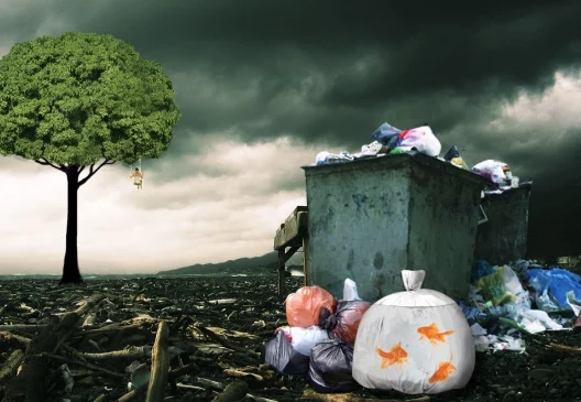 В каком регионе Казахстана хуже всего обращаются с природой - изображение 1