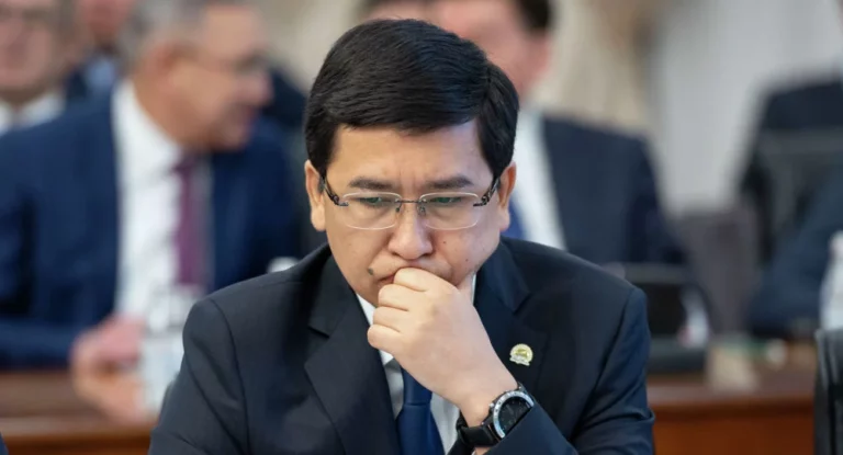 Депутат Смирнова предложила министру образования провести уроки - изображение 1