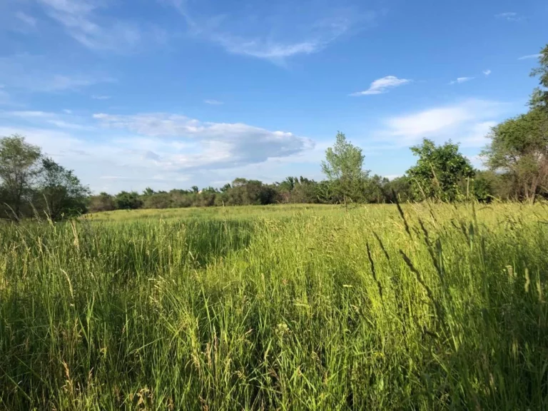 Главы 60 стран дали "обещание природе" - изображение 1