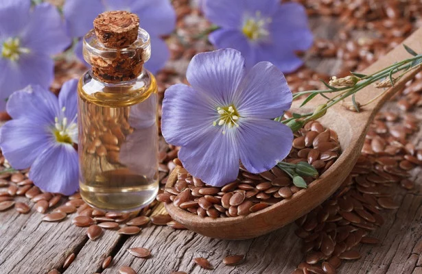 Изображение 1 для Казахстан стал крупнейшим экспортером льна в мире