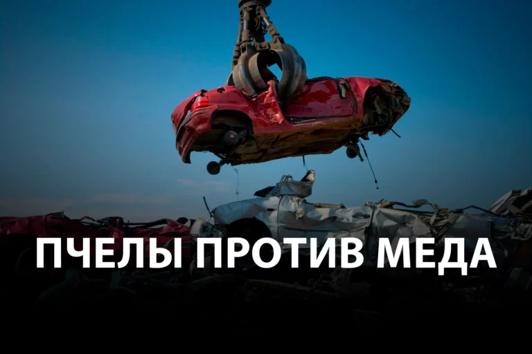 Почему казахстанцы стали больше платить за автомобили и сельхозтехнику? - изображение 1