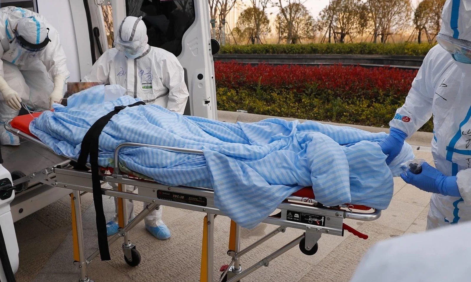 Изображение 1 для В мире зарегистрирована первая смерть от повторного заражения COVID-19