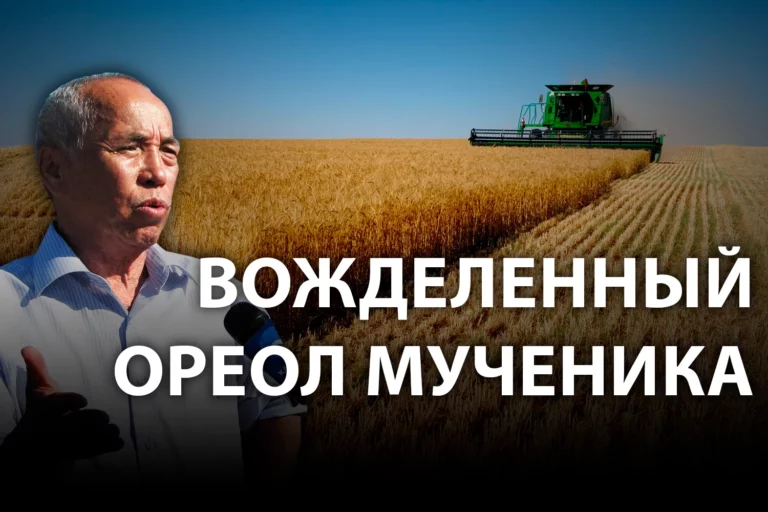 Феномен академика Бараева: как стать героем, не прилагая к этому усилий - изображение 1