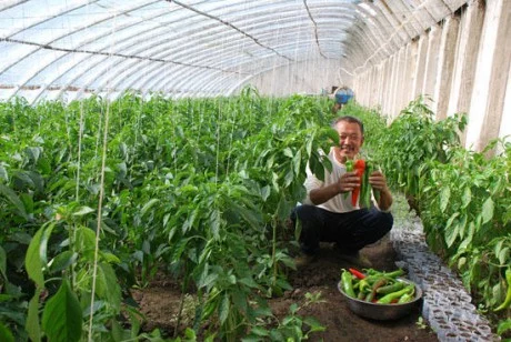 Изображение 1 для USAID рекламирует казахстанских производителей