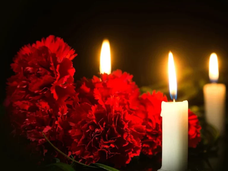 В Австрии объявлен трехдневный траур - изображение 1