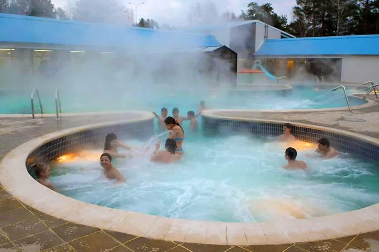 В Алматинской области решили провести пресс-саммит на источниках горячей воды, несмотря на коронавирус - изображение 1