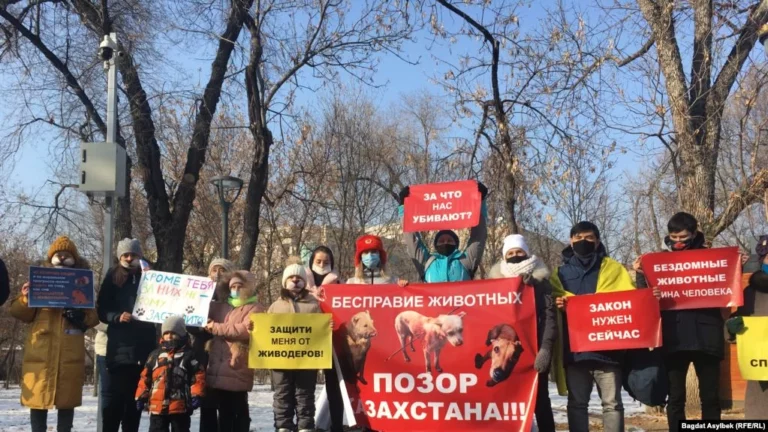 В Алматы провели митинг в защиту животных - изображение 1