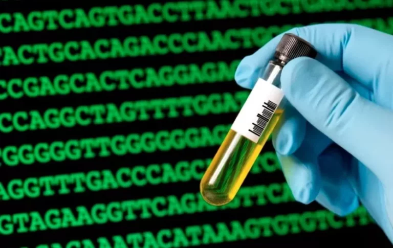 В Узбекистане создадут единую базу данных ДНК - изображение 1
