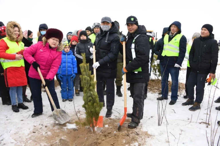 В Алматы посадили 282 тысячи деревьев? - изображение 1