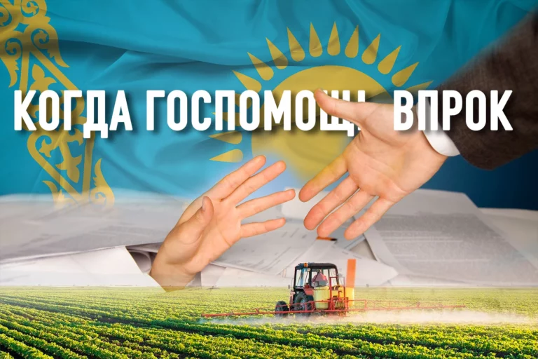 Как выглядит идеальная схема использования господдержки? - изображение 1