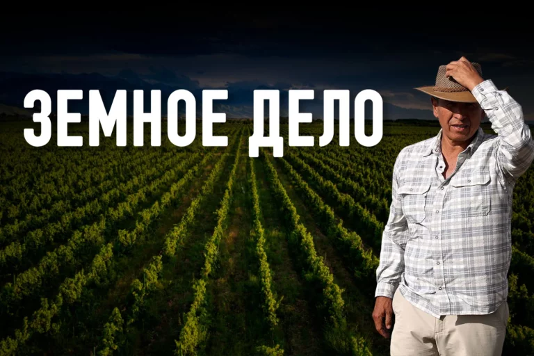 Arba Wine становится национальным брендом, меняя взгляд на Казахстан - изображение 1